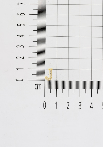 Bilezikci 14 Ayar Taşlı J Harfi Minimal Altın Küpe