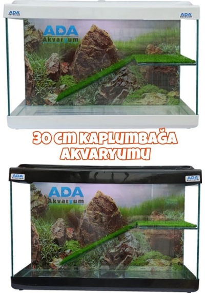 Ada Akvaryum Su Kaplumbağası Akvaryumu Bahçeli Rampalı Dinlenme 30x23x15 Cm Arka Plan Hediyeli
