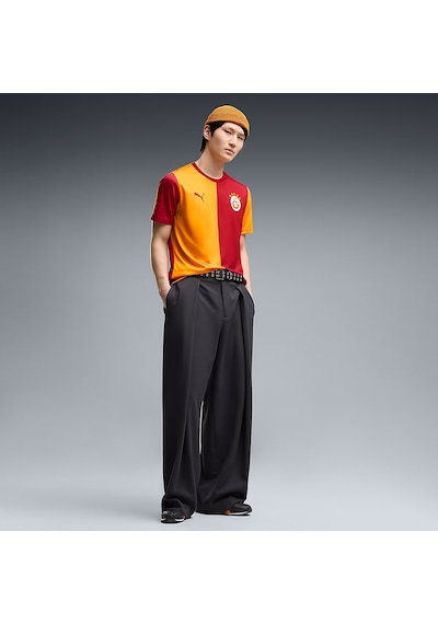 Puma Galatasaray 26/27 Erkek İç Saha Parçalı Forma 78499101