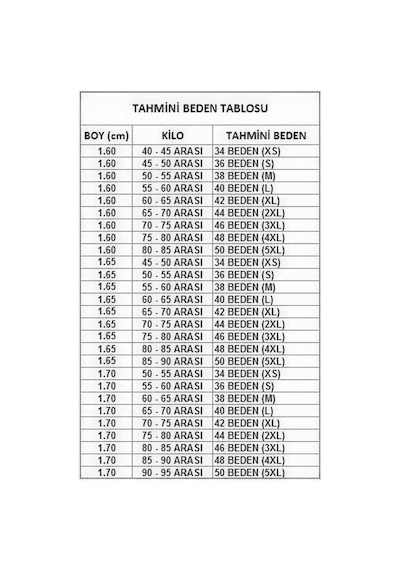 Lugmo Şifon Bayan Elbise Eteği Fırfır Detaylı Astarlı Vizon 4609 Çok Renkli