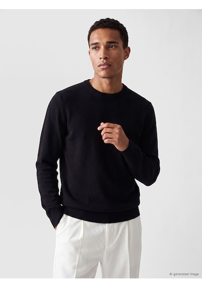 Lcw Vision Siyah Bisiklet Yaka Regular Fit Erkek Triko Kazak