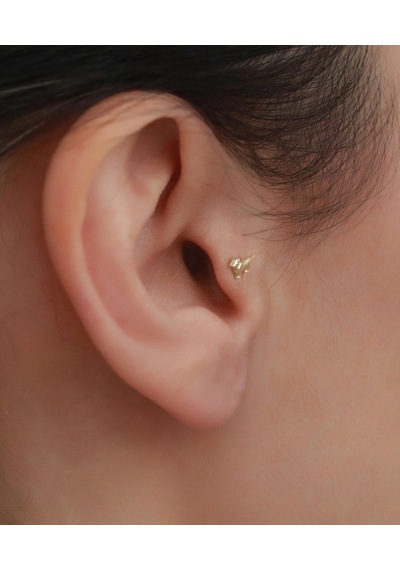 14 Ayar Altın Köpek Motifli Tragus Piercing Sarı Altın