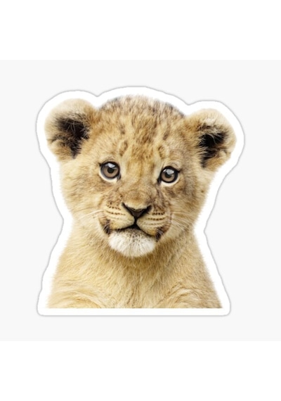 Ufak Bebek Aslan Araba Oto Sticker Etiket Renkli Z5