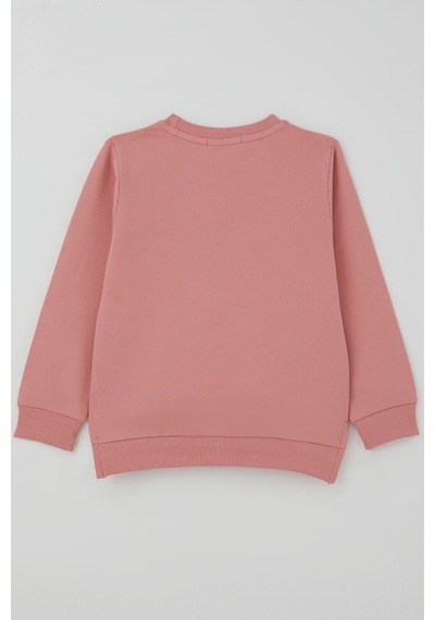 Breeze Kız Çocuk Sweatshirt Sevimli Köpekçik Baskılı Fiyonklu Yazı Baskılı 3-8 Yaş , Gülkurusu