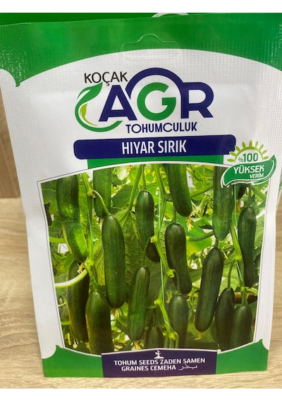 Agr Salatalık Sırık Tohumu SALATALIK