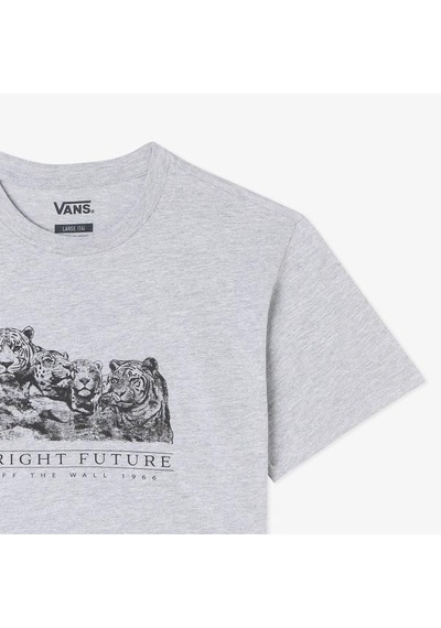 Vans Bright Future Relaxed Crop Kız Çocuk Gri Tişört Gri