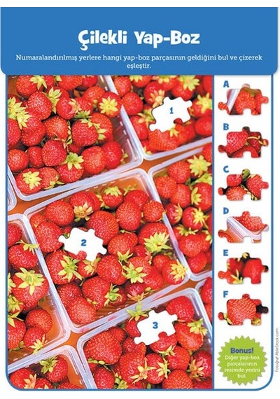 Focus_Gelişim Jumbo Kitap Dikkat Geliştirici Aktiviteler