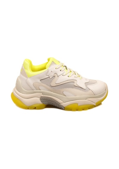 Ash Bayan Sneaker Addict Beyaz