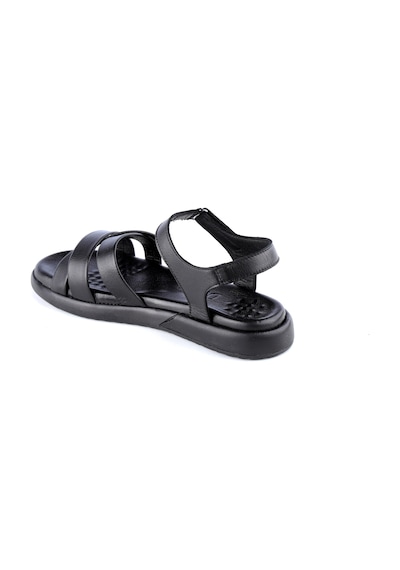 Dexter Ofl1073-220-1 Kadın Sandalet Çok Renkli