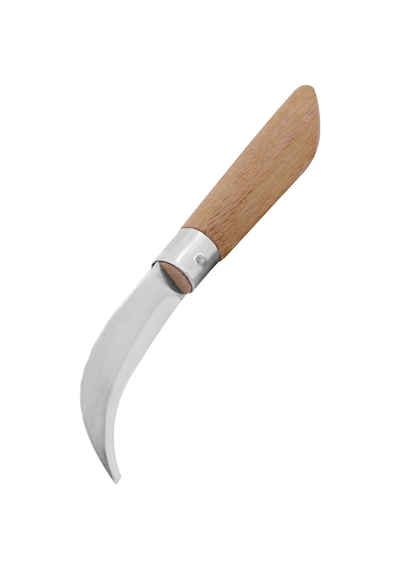 10 Adet Bayram Aşı Bıçağı Ahşap Saplı Bağ Budama Bıçağı Paslanmaz Ceviz Aşı Ekipmanı 22Cm No:3