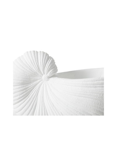 Mudo Home Whıte Shell Vazo 21x10x15 Cm Diğer