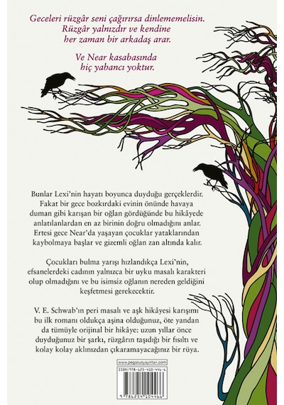 Near Cadısı / V. E. Schwab