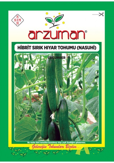 Arzuman Hibrit Sırık Nasuhi Hıyar Salatalık Tohumu 10 Adet