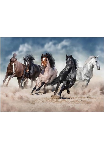 1000 Parça Puzzle - Horses Atlar