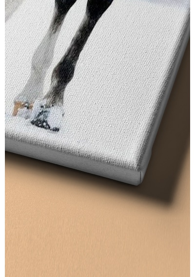 Webstyle Sayılarla Boyama Seti Kasnaklı Benekli At Ve Kurt 40 X 50 Cm