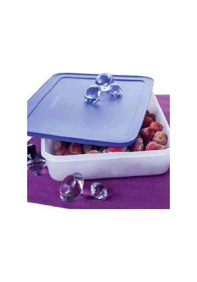 Tupperware Alaska 225 L Buzluk Saklama Kabı Asn N1140663