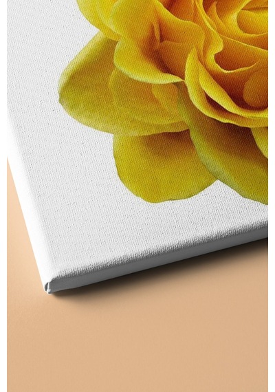 Webstyle Sayılarla Boyama Seti Kasnaklı Sarı Gül 50 X 65 Cm