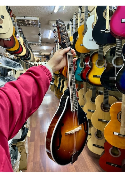 Sanchez Mandolin Mdl11