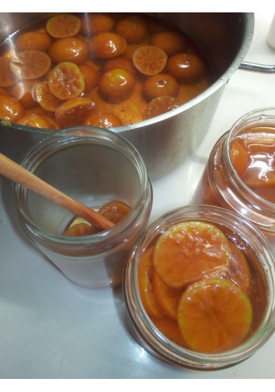 Bodrum Mandalina Reçeli 400g