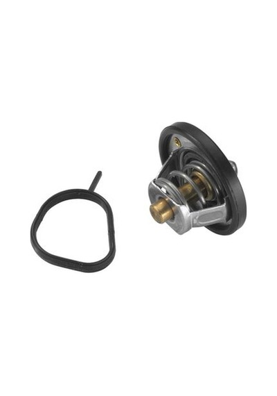 Termostat Otosan 96mm 8575 A1a N Ford Fiesta