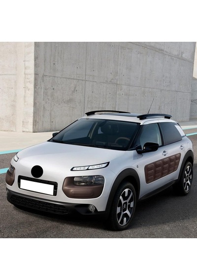 Silecek Suyu Deposu Dolum Kapağı Citroen C4 Cactus İle Uyumlu 2014-2020 Diğer