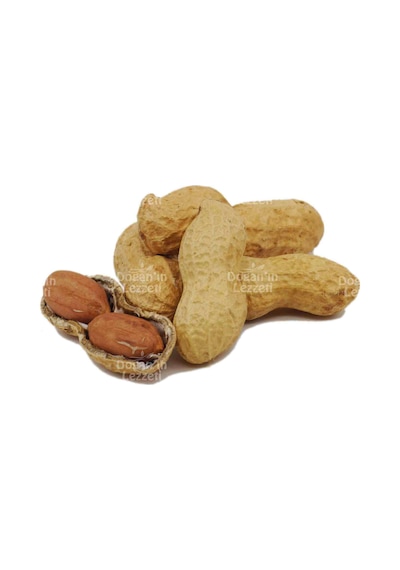 Doğan'ın Lezzeti Kabuklu Çiğ Yer Fıstığı 1 KG