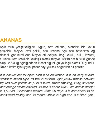 AGRodal Tarım Ata Tohumu Yerli Doğal Kavun Tohumu Ananas 100 Adet Tohum