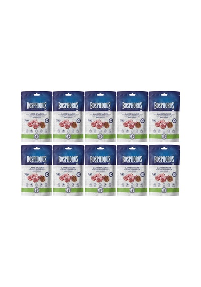 Kuzu Etli Atıştırmalık Kedi Ödülü 80 Gram X 10 Adet
