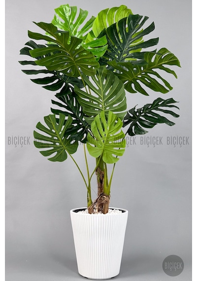 Biçiçek Yapay Monstera Ağacı Deve Tabani 160 Cm Beyaz Luna Saksıda