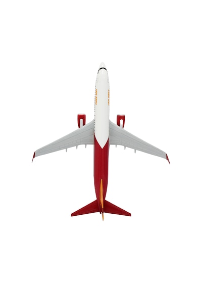 Zekupp Boeing 737-800 1/100 Ölçek Lion King Tasarımlı Maket Uçak