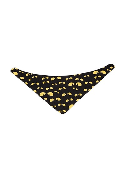 Lepus Fular Köpek Boyun Tasması Small No:1 249-58005.01 Diğer