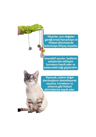 Farmina Pet Foods Quinoa Tahılsız Kedi Sı, Skin & Coat Bıldırcın 1.5 Kg 100 G