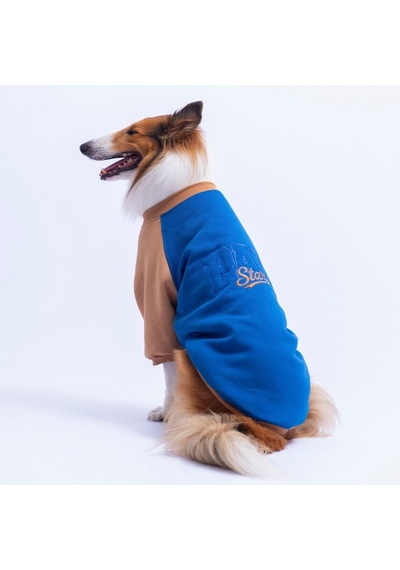 Saks Mavi Boston Pawstar Sweat Orta-büyük Irk Köpek Sweatshirt Köpek Sweat Köpek Kıyafeti Saks Mavi Boston Pawstar Sweat Orta-büyük Irk Köpek Sweatshirt Köpek Sweat Köpek Kıyafeti