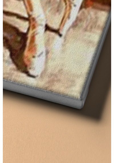 Webstyle Sayılarla Boyama Seti Kasnaklı Yıldız Balerin 40 X 50 Cm