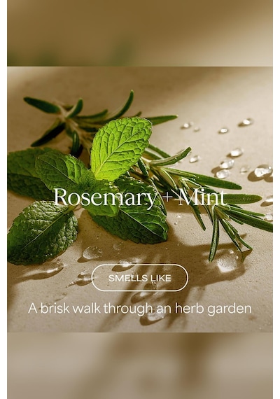 Raw Sugar The Oil Remedy Rosemary + Mint Yağlanma Karşıtı Şampuan 473ml