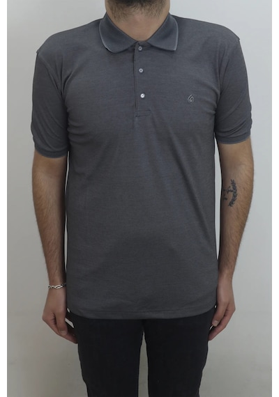 Santa Dmctekstil Erkek Düz Klasik Kesim Rahat Kalıp Polo Yaka T-shirt Füme