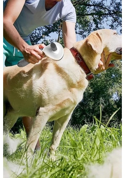 İronika Tuşlu Otomatik Temizlenen Kedi Köpek Tüy Toplayıcı Tarak Evcil Hayvan Fırçası Tarağı