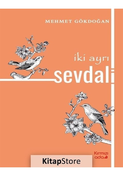 İki Ayrı Sevdalı - Mehmet Gökdoğan - Kırmızı Ada Yayınları