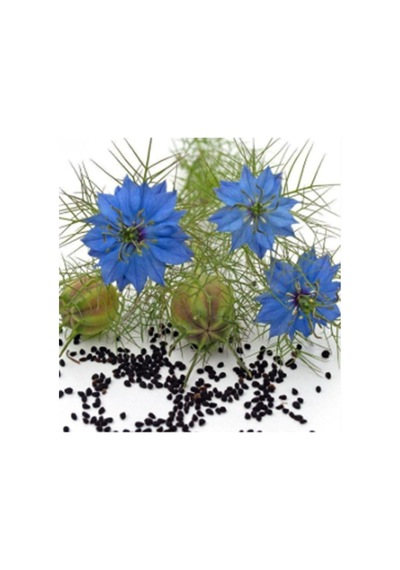 Çörekotu Tohumu Nigella Sp 250 Gram - 939186979
