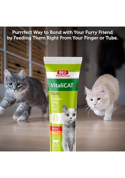 Vitalicat Kediler İçin Vitamin, Macun Paste , 100 Ml