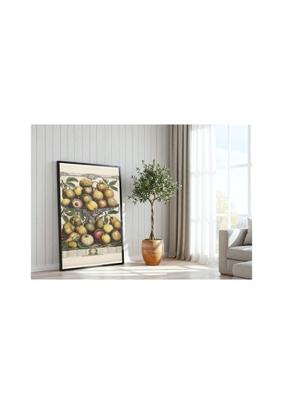 Botanik Fletcher Meyve Ayları Şubat Çerçevesiz Poster 21x30 Cm A4 Botanik Doğa Tarihi Duvar Dekoru