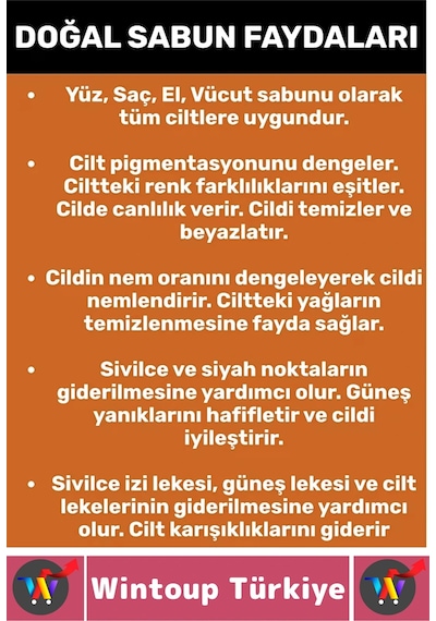 Wintoup Yılan Otu Sabunu 3 x 100 G