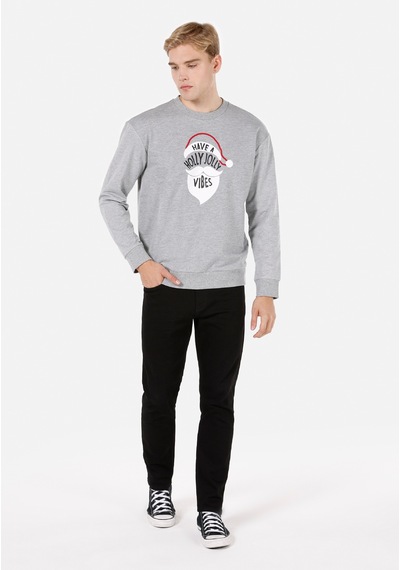 Colin's Colins Gri Erkek Sweatshirt Cl1072122 Q1.v2 Lgm Gri
