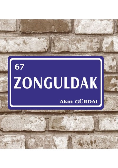 Kişiye Özel Metal Plaka Zonguldak 67 Retro Poster (29X15)