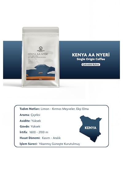 Kenya Aa Natural Kahve 250g Öğütülmüş Kahve Taze Kavrulmuş Kağıt Filtre