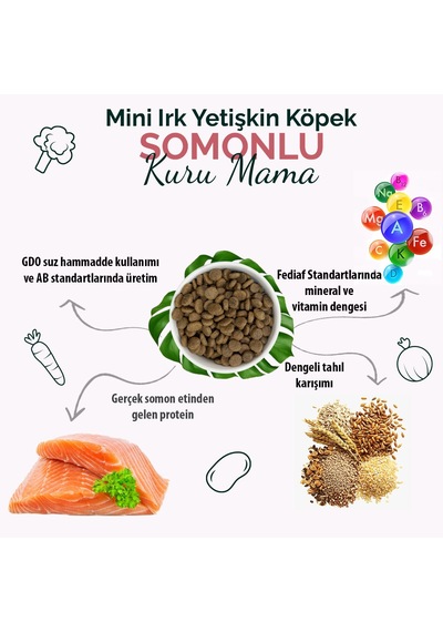 Anatolian Premium Somonlu Küçük Irk Yetişkin Köpek Maması 2 kg