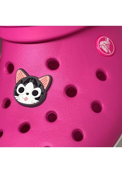 Crocs Terlik Süsü & Renkli Aksesuar Jibbitz (475023224) Çok Renkli