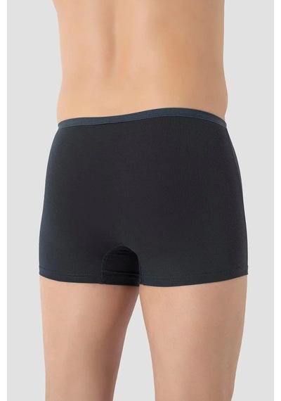 Carlburn Özel Seri Erkek İnce Bel Lastikli Bambu Boxer Füme 5'li Paket İç Giyim Hediye Yumuşak Doku
