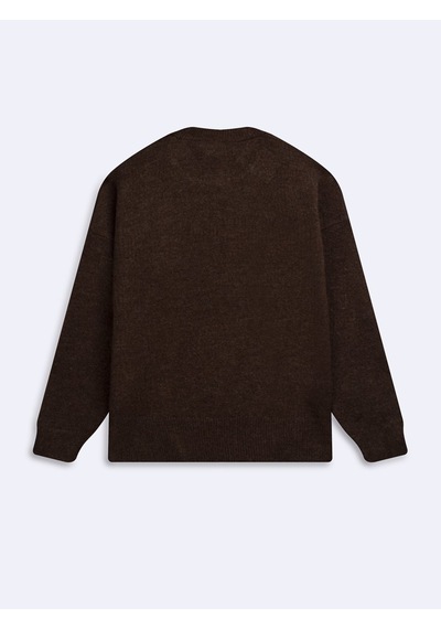 LTB Regular Fit Bisiklet Yaka Triko Kahverengi Kazak