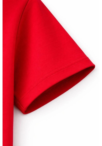 Wear Vexel Genç Erkek Çocuk V Yaka Tişört Model - Bordo Çok Renkli